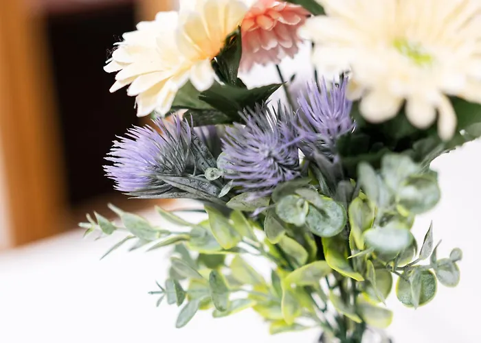 Bonito Y Comodo Cerca De La Playa Apartment *